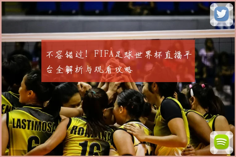不容错过！FIFA足球世界杯直播平台全解析与观看攻略