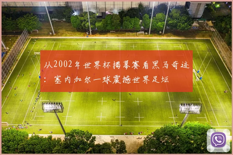 从2002年世界杯揭幕赛看黑马奇迹：塞内加尔一球震撼世界足坛