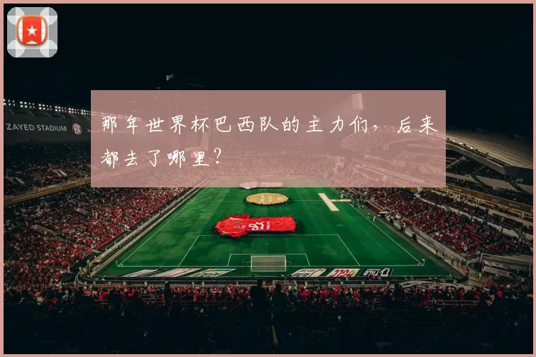 那年世界杯巴西队的主力们,后来都去了哪里?