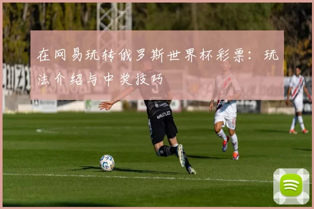 在网易玩转俄罗斯世界杯彩票：玩法介绍与中奖技巧
