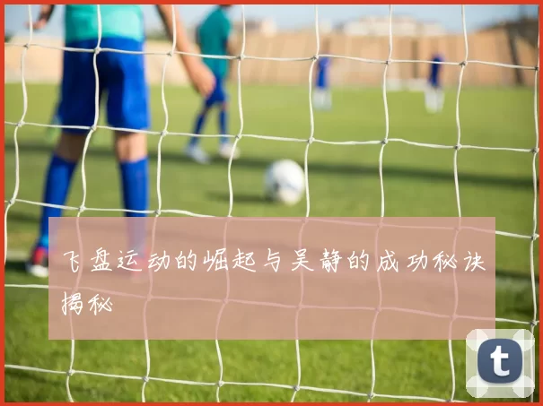 飞盘运动的崛起与吴静的成功秘诀揭秘