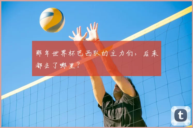 那年世界杯巴西队的主力们,后来都去了哪里?