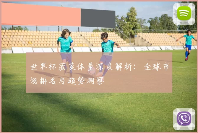 世界杯菠菜体量深度解析：全球市场排名与趋势洞察